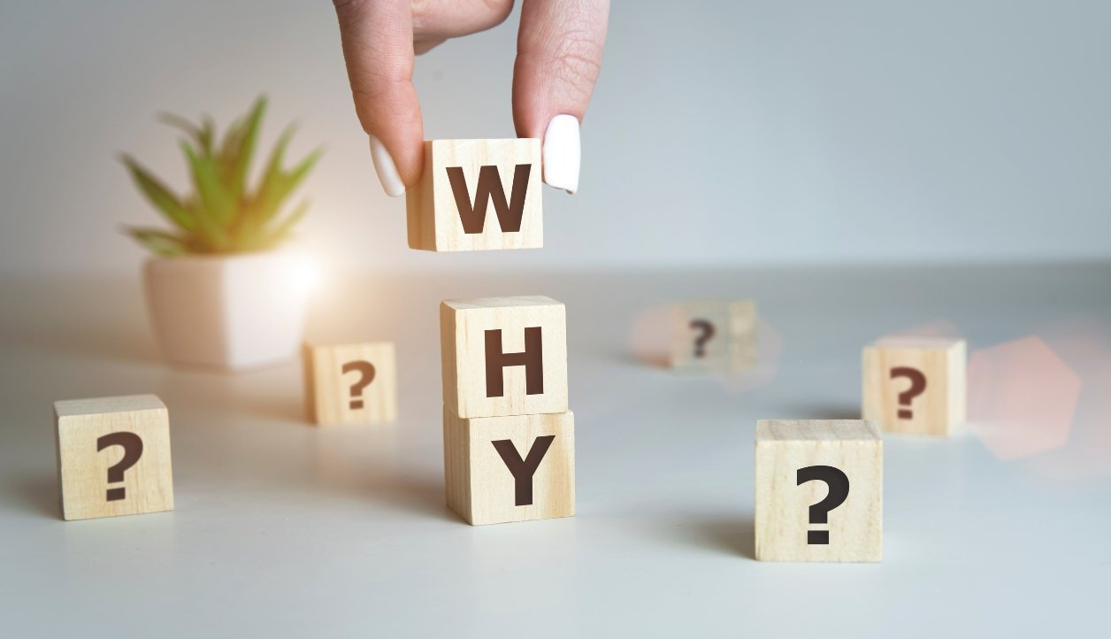 Powered by an IT Company - Webvision Arena